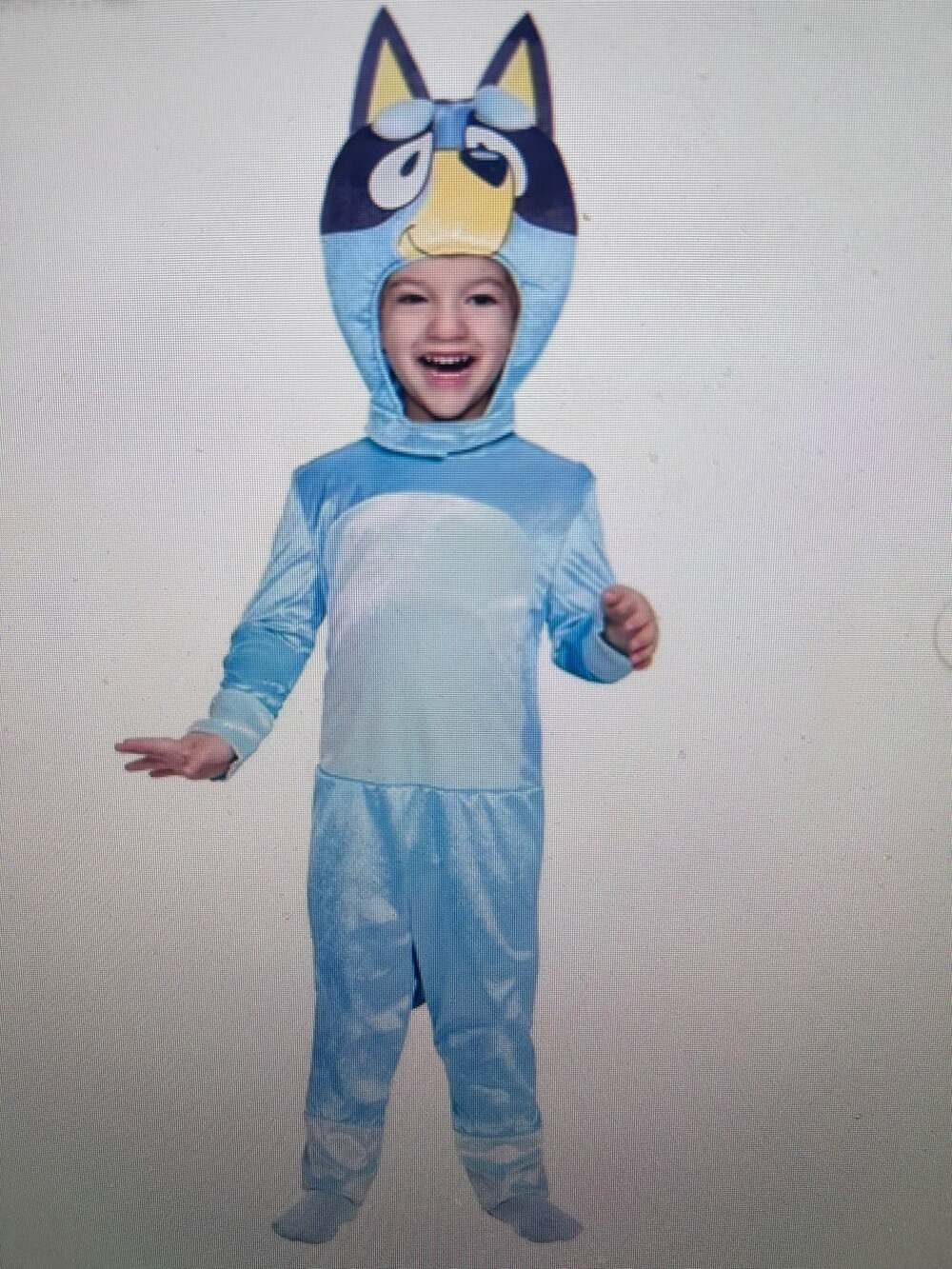NWT Disguise Bluey Costume Med 3T-4T